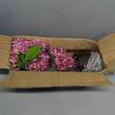 Artificial Flowers 18.5" Tall with Silk Wisteria Pink Flower Arrangement and Realistic Wood Fake Bonsai Tree Plants Faux Plants for Spring Home Bedroom Office Bathroom Coffee Table Centerpiece Decor