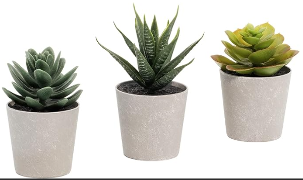 Set of 3 Succulents Plants Artificial in Pots,Mini Faux Plants for Bathroom Home Office Living Room Table Decor Indoor
