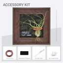 Air Plant Holder Tillandsia Ionantha Display Frame - Waterproof Wall Hanger Air Succulent Hanging Decor for Indoor House Plants, Creative Gift for Plant Parents