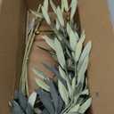 35inch Artificial Olive Branches for Vases,3pcs Bendable Faux Olive Branches with Fruits, Greenery Stems for Living Room Home Decor, Coffee Table Decor (Vase Not Included) (3 Pack)