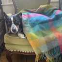 Moon Wool Plaid Throw Blanket, Pure New Wool, Harlequin Tutti Fruitti, Made in UK