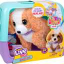 Little Live Pets Ouchies Hazel The Poodle Plush, 50+ Sounds, Limping to Walking Puppy Toy & Carrier, Interactive Toy Dog for Kids 5+, Poodle