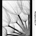 Americanflat 13x17 Picture Frame with Polished Plexiglass - Black Picture Frame - Wide Photo Frames Made of Engineered Wood for Vertical or Horizontal Wall Display - Epic Collection - Black