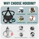 Houdini Escape Proof Cat Harness and Leash Set by OutdoorBengal Black, Medium Cat Harness for Walking