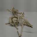 2 Pack 36"Halloween Skeleton - 3 ft Life Size Human Skeleton with Full Body Posable Joints Plastic Skeleton for Halloween Skeletons Decor Yard Patio Lawn Garden Skeleton Props Spooky Party Decoration