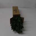 Pre-Lit Artificial Mini Christmas Tree,20 inch Miniature Pine Xmas Tree with 20 LED Lights,70 Branch Tips,Desktop Christmas Tree Burlap Base-(50cm)