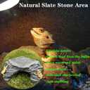 X-Large Bearded Dragon Basking Platform, Lizard, Snake or Reptile Hide with Heat Storage Slate Stone, 13x12x5 Inch Oversized Gecko Hide Cave