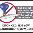 Miracle LED Shroom Grow Indoor LED Grow Bulbs for Oyster, Shiitake, Lions Mane Mushrooms ect. with 6.5K MINI Full Spectrum Replace 60W LED Grow Bulbs (4-Pack)