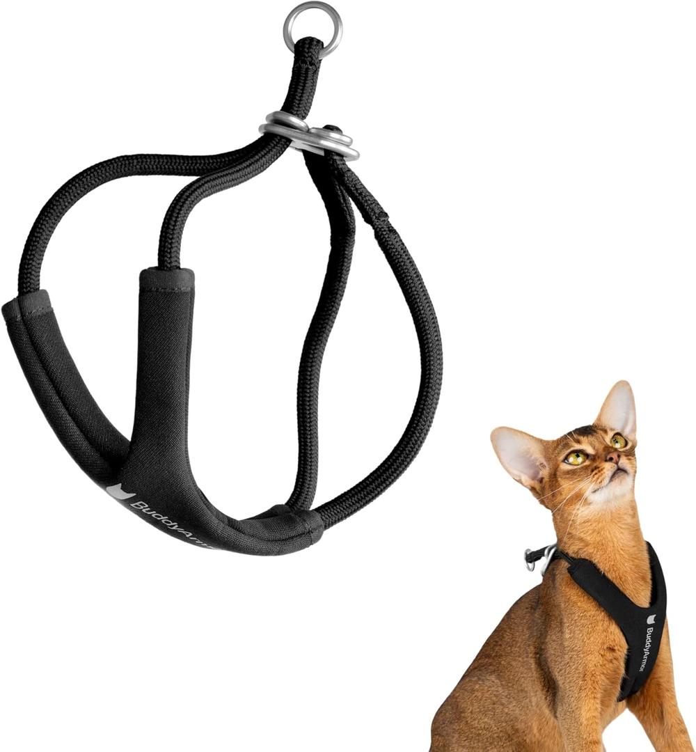 Escape Proof Y Shape Cat Harness Anti-Choke Buckle Adjustable Comfortable Padded Cat Vest Harness Anti Escape Cat Rope Harness for Kitten (Black, S)