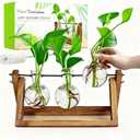 Plant Propagation Stations with Wooden Stand & 3 Glass Bulb Vases - Plant Terrarium for Indoor Plants, Home Office Desk Decor, Gardening Gifts for Women Mom, Birthday Gifts for Plants Lovers