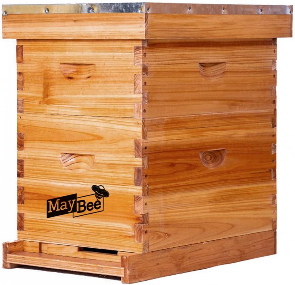Beehive 8 Frame Bee Hives and Supplies Starter Kit, Bee Hive for Beginner, Honey Bee Hives Includes 1 Deep Bee Boxes, 1 Bee Hive Super with Beehive Frames and Foundation