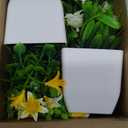 Der Rose 2 Pack Fake Plants Mini Artificial Faux Plants with Flowers for Home Office Table Room Farmhouse Decor Indoor