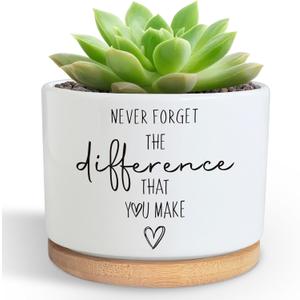 DOFAFALA Funny Planter Succulent Flower Pot, Flower Cactus Planter Gifts, Appreciation Inspirational Gifts for Plant Lovers Women Men Coworkers Home Office Decor (No Plants)
