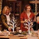 PEIDUO Christmas Decorations Indoor, 2 FT Birch Tree with LED Lights, Fairy Light Spirit Tree for Christmas Decor, Warm White Lighted Birch Trees for Home Decor Indoor, Battery Powered, Timer (2PK)