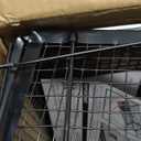 2-Pack Rat Traps Humane Live Mouse Vole Chipmunk Trap Cage for Indoors and Outdoors (Black)