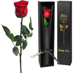 Yamonic Preserved Flowers Rose Gifts for Women Mom, Mothers Day Rose Flower Gifts for Moms,Forever Real Flowers Mom Birthday Grandma Gifts, Valentines Day Gift for Her Girlfriend Wife Anniversary(Red)