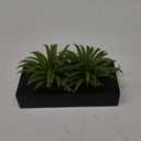 MyGift 10 Inch Fake Grass Artificial Plants in Rectangular Black Wood Planter - Faux Plants Indoor for Tabletop Centerpiece Dcor (9.5 Inch)
