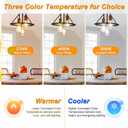 Ascher Vintage LED Edison Bulbs 6W, Equivalent 60W Incandescent, Non-Dimmable, Warm White 2700K, ST58 Antique LED Filament Bulbs with 80+ CRI, E26 Medium Base, Clear Glass, 6-Packs