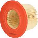 WIX 46418 Engine Air Filter Compatible With Ford F-Series Pickups, Super Duty, E-Series Vans, Champion Buses