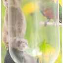 Lixit® Chew Proof Flat Sided Water Bottles for Rabbits, Ferrets, Rats, Birds, Hamsters, Guinea Pigs, Chinchillas Gerbils and Other Small Animals - Made in USA (Clear, 12 Ounce)