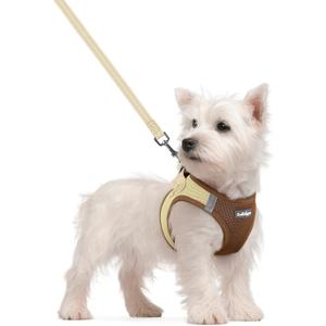 rabbitgoo Dog Harness Small Sized and Leash Set, Step in Soft Light Puppy Vest, Breathable Mesh Pet Harness, Reflective for Safe Easy Walking, Brown & Beige S (S (Chest: 15.1 - 16.5"))