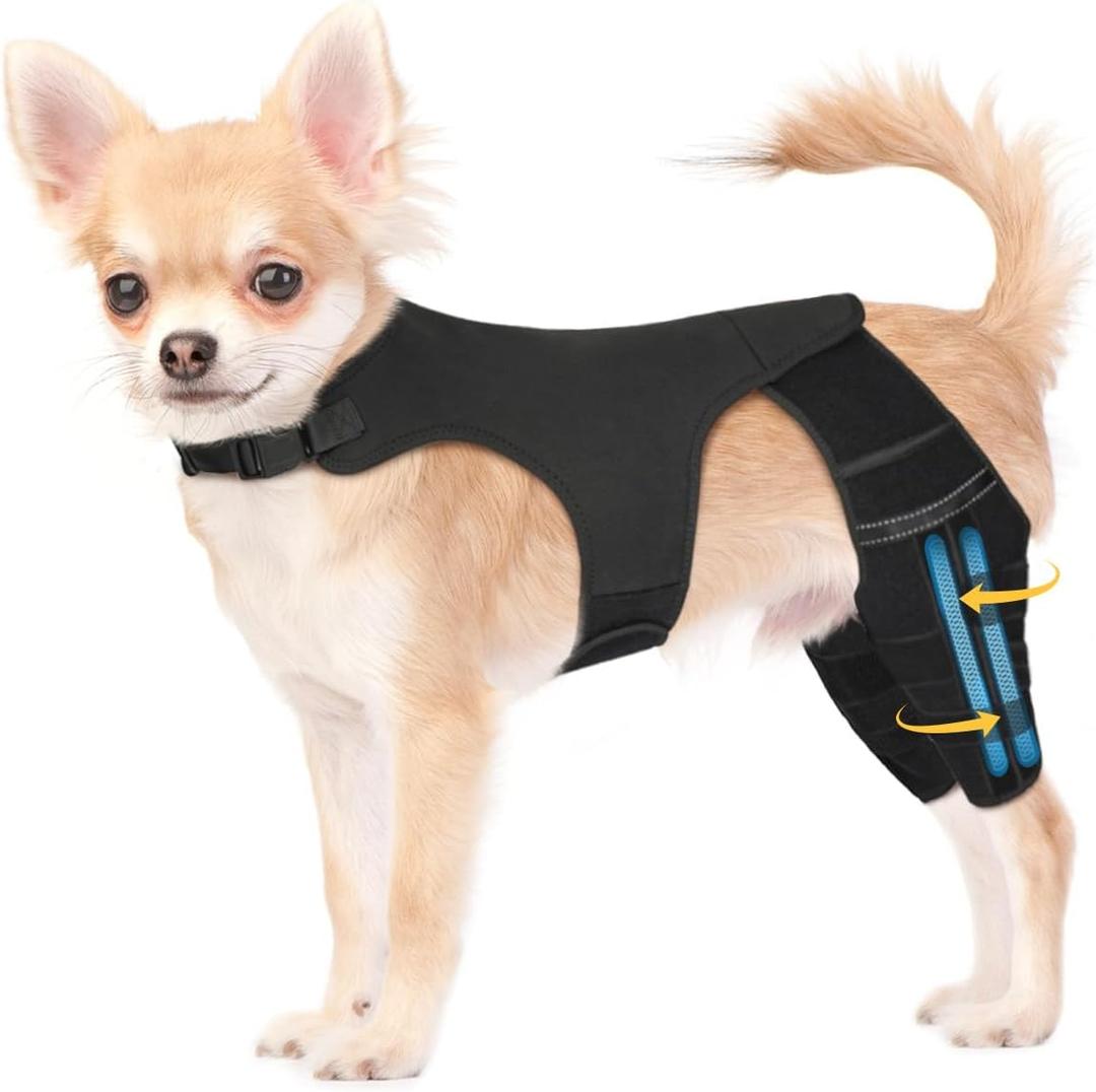 Dog Leg Brace for Torn Acl Hind Leg, 4 Stabilizers for Back Leg, Adjustable Hip Support to Reduce Pain, Ligament Injuries & Luxating Patella for Small Medium Large Dogs, XS (Black)