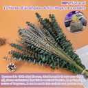 115 PCS Mixed Dried Eucalyptus Stems with Lavender Flowers Bundle for Shower, 17'' Natural Eucalyptus Leaves Branches Hanging Shower Plant for SPA Home Fragrance Bathroom Table Vase Decor