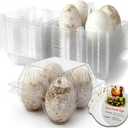 Plastic Goose Egg Cartons Cheap Bulk Empty Clear Large Duck Eggs Tray Holders Box for Farm Reusable Storage Container (20, 2x2)