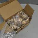 DMuuuDM 20 Pcs 8ml Hanging Car Air Freshener Diffuser,Empty Refillable Clear Glass Essential Diffuser Oil Aromatherapy Fragrance Perfume Pendant Vials with Wooden Caps & Hanging String