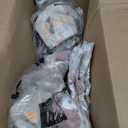 The Honest Company Comfort Dry Disposable Daytime Diapers for Sensitive Skin, Hypoallergenic, Fragrance-Free, Fall '25 Seasonal Prints, Club Box, Size 1 (8-14 lbs), 78 Count