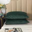 H HOUSEHOLD Set of 2 Velvet King Size Pillowcase, Soft and Cozy Luxury Fuzzy Flannel 20x36 Inches Pillow Cover with Zipper (King (20 x 36 Inch), Dark Green)