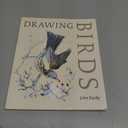 Drawing Birds