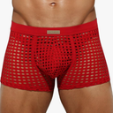 Arjen Kroos Mens Boxer Briefs Breathable Hot Mesh Underwear, L