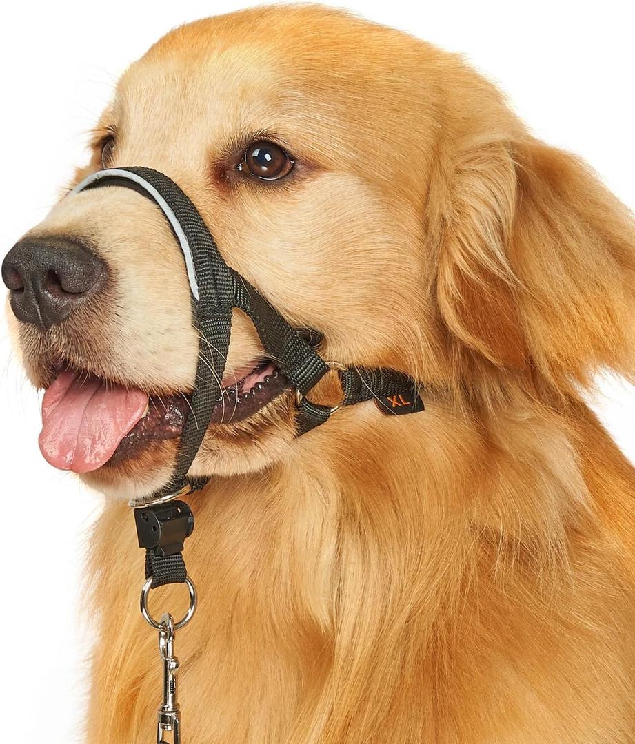 BARKLESS Head Collar for Dogs, No Pull Head Halter for Large Medium Small Dogs, Dog Halter Stops Heavy Pulling, Muzzle Leash with Padded Safety Strap for Walking Training(Black, M)