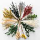 WILD AUTUMN 12 Kind Dried Flowers Set - Including Lavender, Eucalyptus, Wheat, Bunny Tails, Handmade for DIY Crafts, Vase Decor, Wedding/Home/Birthday/Seasonal Decor