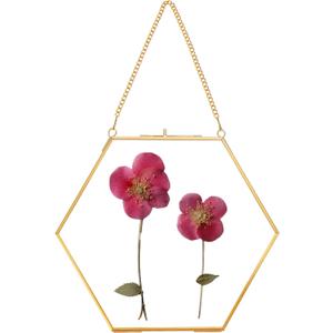 Glass Pressed Flower Frame Handmade, Double Glass Frame for Pressed Flowers Brass Floating Picture Frames, Wall Hanging Picture Frame for Dried Flowers Home Wall, Hexagon, Gold (FRAME ONLY) (8L" x 9.4W")
