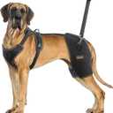 CHAMIN Dog Hip Brace with Back Handheld Design, Support for Hip Dysplasia, Arthritis, Back Leg limping, Reduce Hip Pain & Accelerated Recovery After Surgery etc (XXL)
