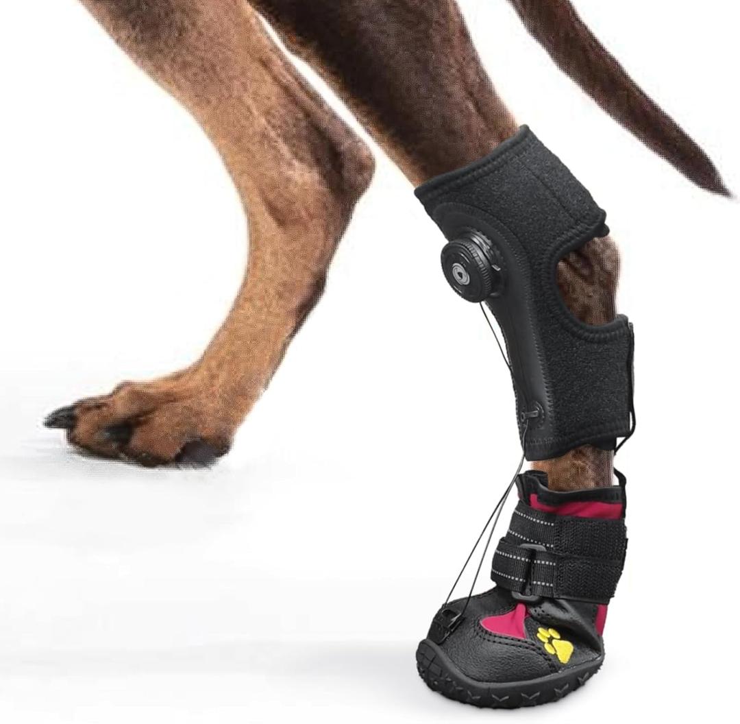 Drop Foot Brace with Reel(No Knuckling Boot Brace) for Dog - Corrective Dog Shoes to Safely Lift Toes for Foot Issues, Arthritis, and improving Walking gait in Dogs,Patent Pending(XL) 