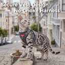 Cat Harness and Leash Kitten Harness Escape Proof Lightweight Breathable Mesh Cat Leash for Walking Travel, Grey, Large