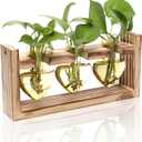 Plant Terrarium Propagation Stations Hydroponics Home Garden Decoration Gift for Women with Wooden Stand Heart Shaped Colored Glass Vase (Gold)
