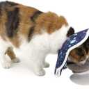 Soft Cat Cone, Adjustable Recovery Collar After Surgery to Prevent Licking Wound, Protective Cat Neck Cone, Comfortable Pet Elizabethan Collar for Cats Kittens and Puppies (M) (Blue)