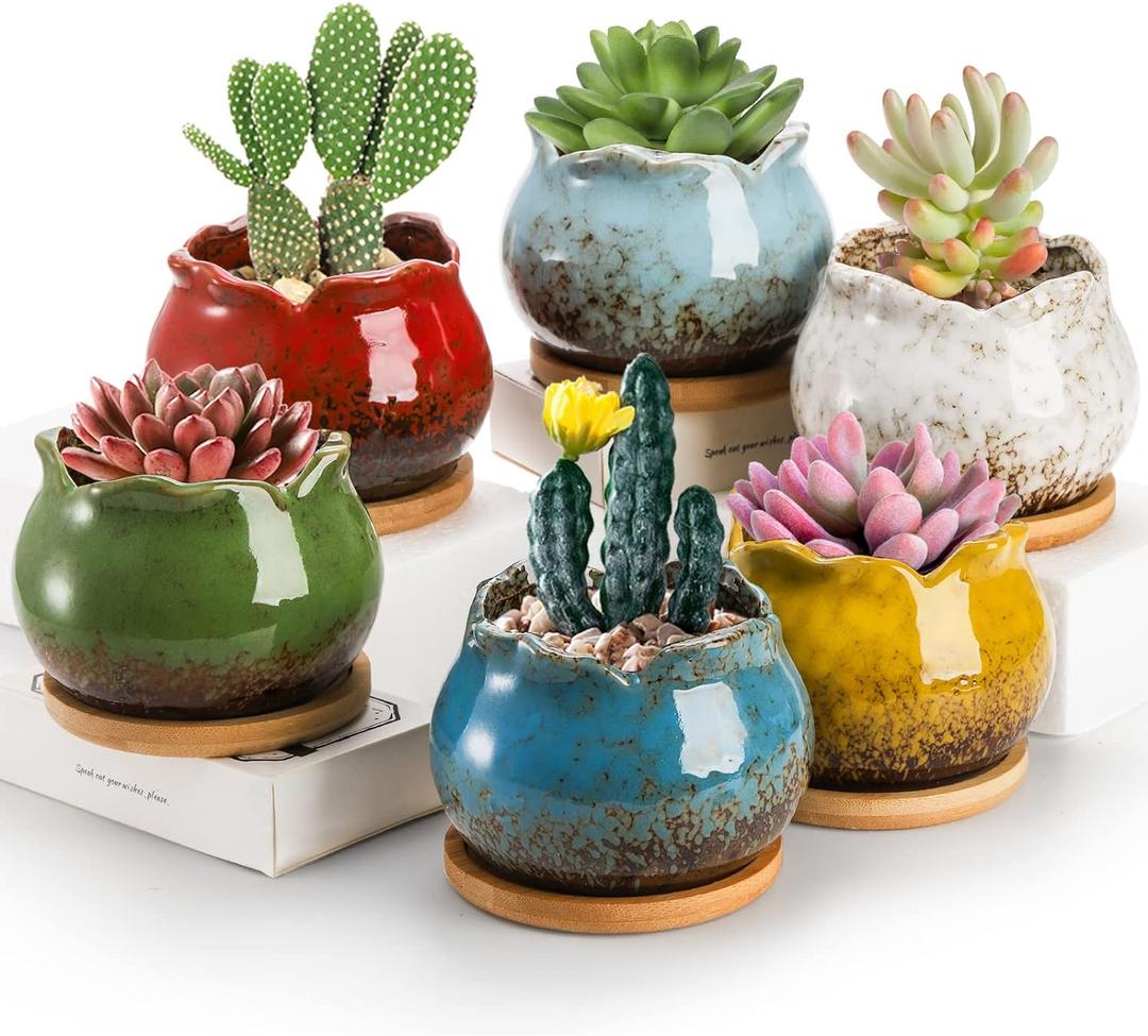 TOPZEA Set of 6 Succulent Plant Pots, 4 Inch Glazed Ceramic Pots with Drainage and Saucer, Mini Bonsai Planter Small Flower Pots for Indoor Outdoor Use