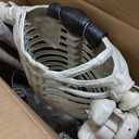 JOYIN 5.6 FT Halloween Posable Life Size Skeleton, Full Body Realistic Bones with Movable Joints, Giant Skeletons Halloween Decorations for Indoor Outdoor Haunted House Props, Spooky Scene Party Decor (Yellow)