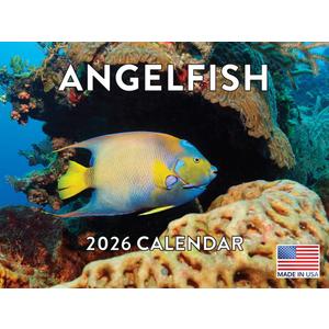3 x Angelfish Calendar 2026 Angel Fish Monthly Wall Calender 12 Month Tropical Fish Gifts | American Made In The USA