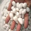 Coco Clouds Glossy Stone Pebbles for Home Decor, Garden, Backyard Patio Pathway Indoor and Outdoor, Decorative Aquarium Vase Filler, Table Scatter & All Purpose White Color Medium Size 1 Kg Item Pack