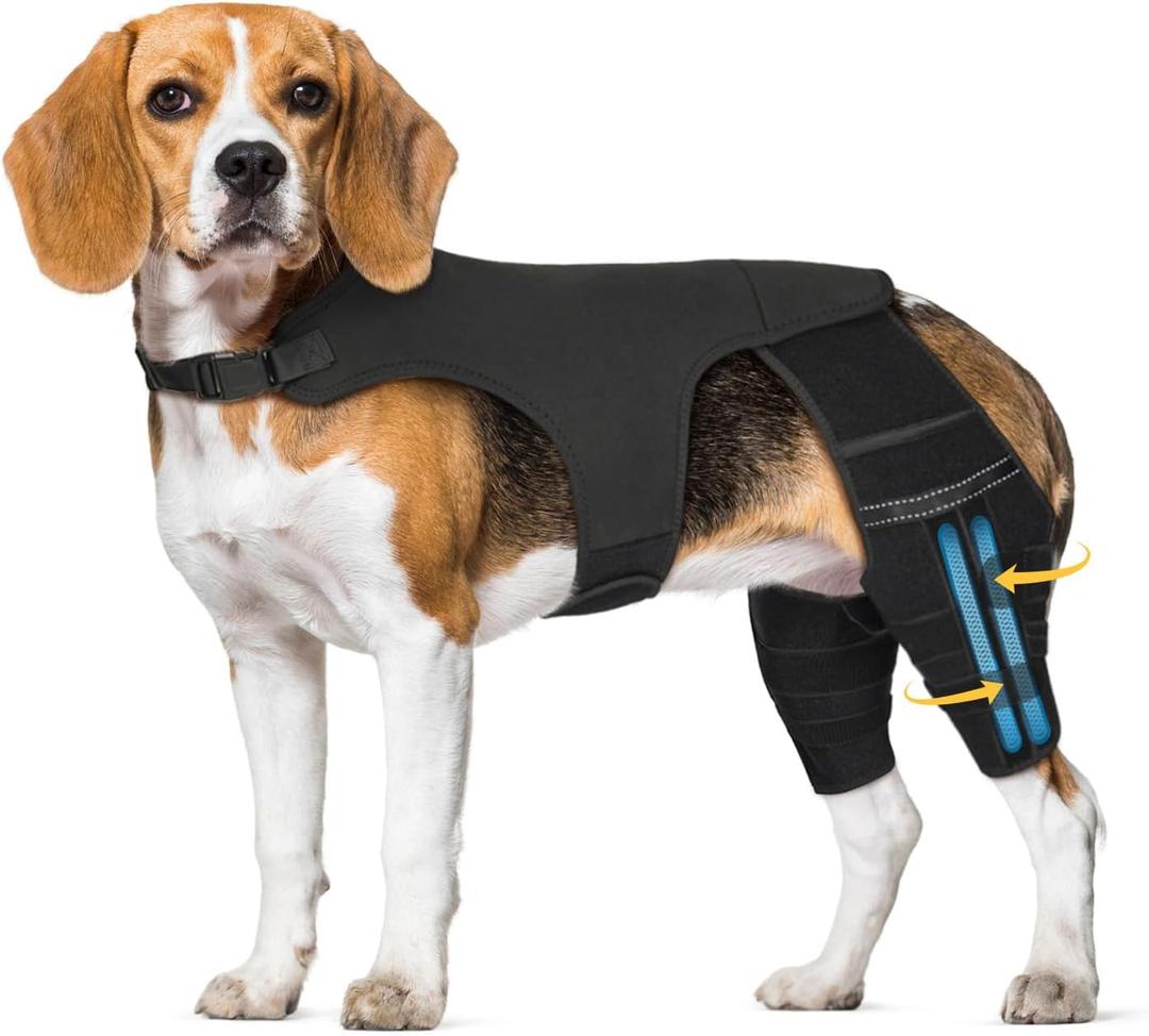 Dog Knee Brace for Torn Acl Hind Leg, 4 Stabilizers Dog Leg Braces for Back Leg, Adjustable Hip Support to Reduces Pain, Ligament Injuries, Luxating Patella, L