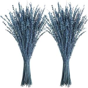 Uieke Dried Lavender Flowers, 16" Preserved Dried Lavender Bundles Blue Flowers Stems Bouquet for Shower Weeding Home Fragrance Vase Crafts Decor, 100g(3.52oz)