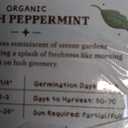 Seedboy Organic Peppermint Seeds for Planting Indoor and Outdoor, Non-GMO and USDA Certified Herb Seed Packet for Hydroponic Garden Indoor or Planting Outdoors (Peppermint) 22 Pack