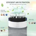 2 Pack Mini Max Replacement Filter Compatible with Blueair Blue Pure Mini Max Air Purifiers, HEPA & Activated Carbon Blue Pure FMINI Filter Fits for Blue Pure Mini Max