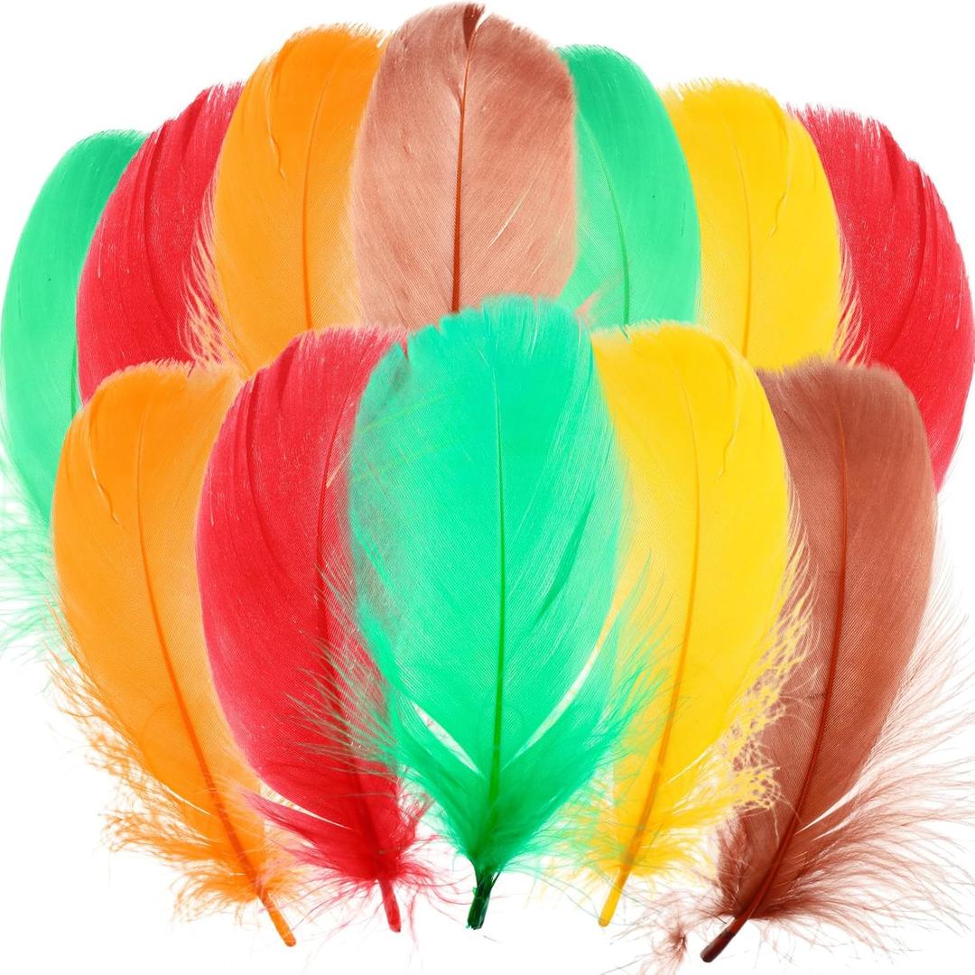 Maysing 500 Pcs Thanksgiving Colorful Craft Turkey Feathers 2-5 Inch Colored Feathers for Fall Thanksgiving Holiday DIY Crafts Angel Wings Dream Catcher and Wedding Party Decor